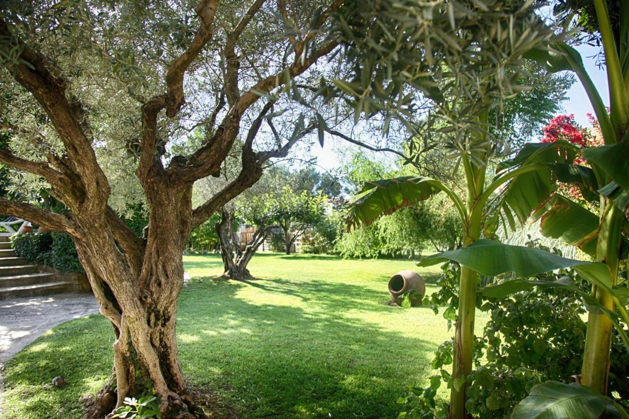 Bed and Breakfast Bastide Sainte Agnes Carpentras Zewnętrze zdjęcie
