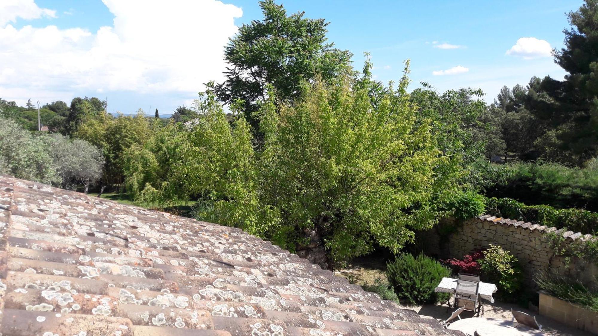 Bed and Breakfast Bastide Sainte Agnes Carpentras Zewnętrze zdjęcie